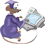 Rat in academic dress, typing